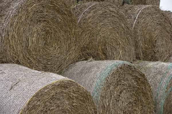Большой стог сена — стоковое фото