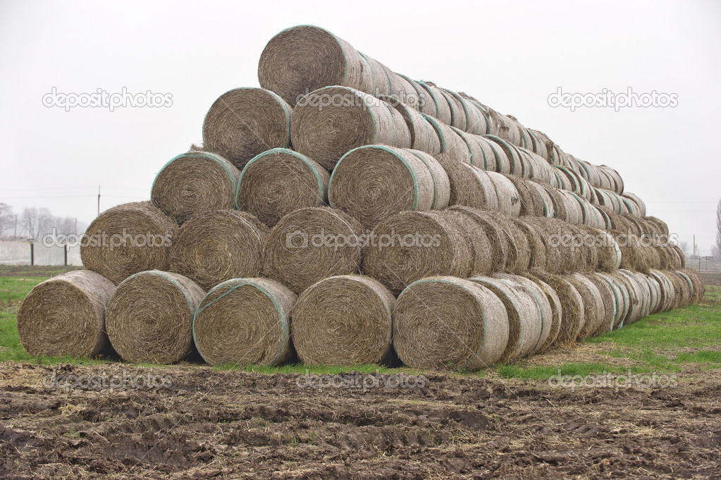 Hay bales piled in a pyramid like shape