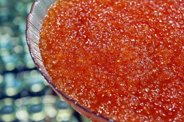 Chum somon havyar yakın mağaza