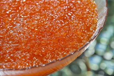 Chum somon havyar yakın mağaza