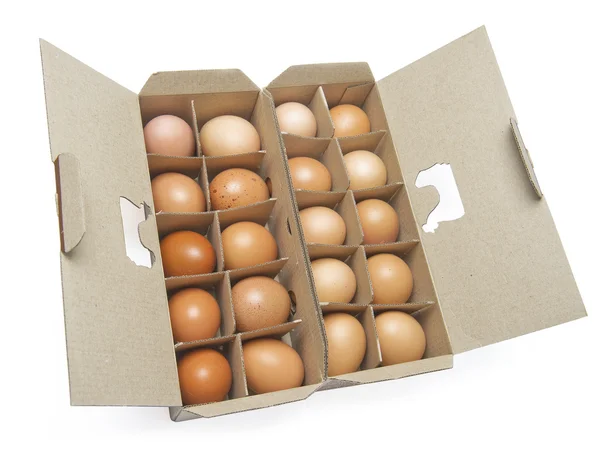 Chicken eggs in packing — Stock Photo, Image