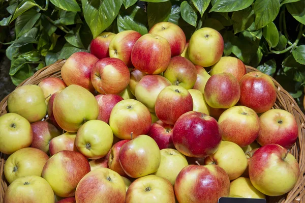 Manzanas maduras en el supermercado —  Fotos de Stock