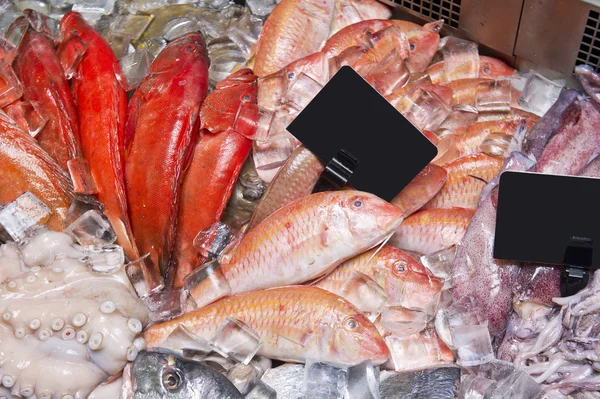 Triglia di pesce fresco e cernia in un supermercato — Foto Stock