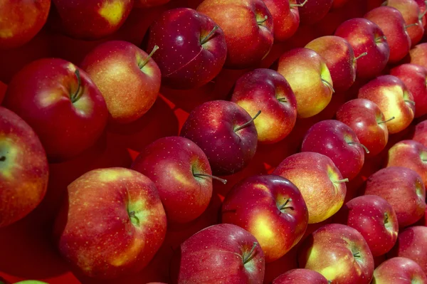 Supermarché de pommes rouges — Photo