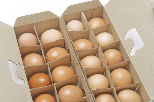 Chicken eggs in packing on a white background — Stock Photo, Image