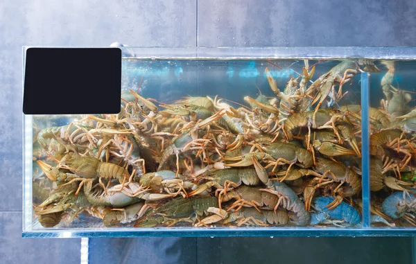 Crayfish — Stock Photo, Image