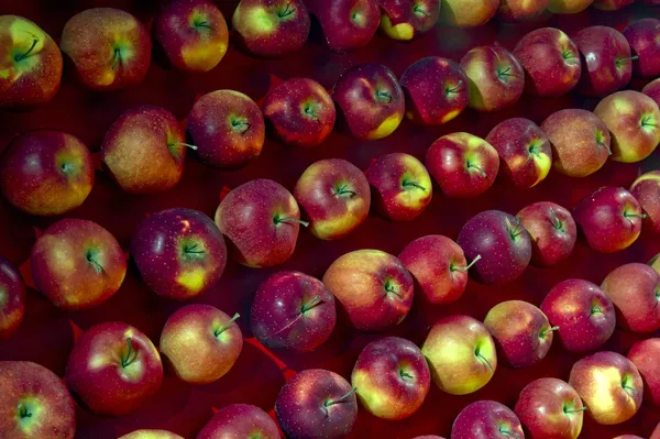市場で赤いリンゴ — ストック写真