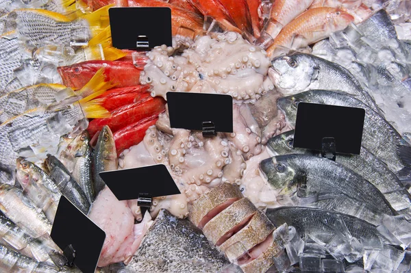 Mariscos sobre hielo en el mercado de pescado —  Fotos de Stock