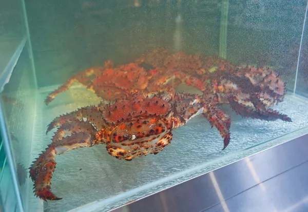 King crabs live in the supermarket — Stock Photo, Image