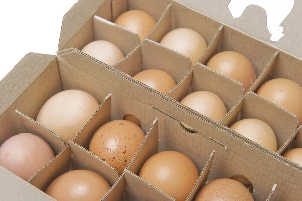 Kippeneieren in verpakking — Stockfoto
