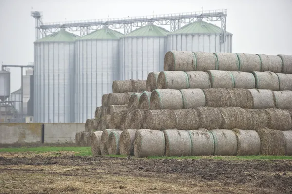 Haystacks and a large granary — Stock Photo, Image