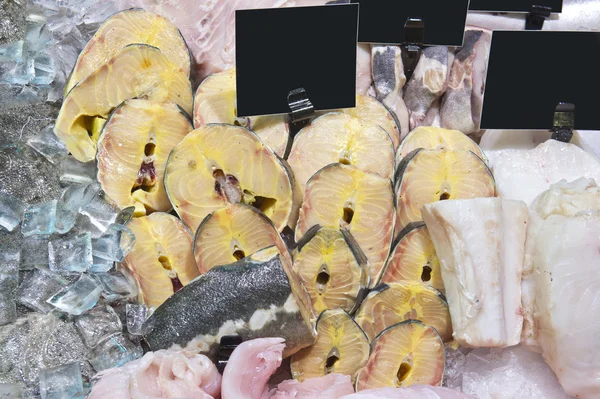 Зубная рыба и филе осетра на льду — стоковое фото