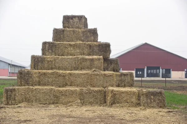 Haystacks near the cowshed — Stock Photo, Image
