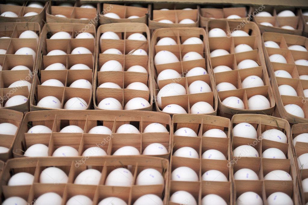 Chicken eggs in packing