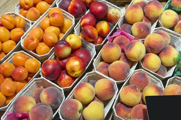 Peaches and apricots — Stock Photo, Image