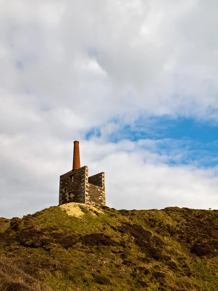 Quaddeln gedeihen bei Rinsey Head Cornwall — Stockfoto