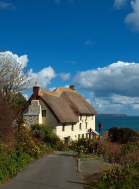 kertenkele - kilise koyu - cornwall