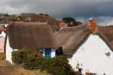 cadgwith cove evler