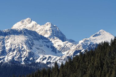 Slovenya 'daki ulusal parkta Julian Alps' in en yüksek zirvesi olan Triglav 'ın muhteşem manzarası