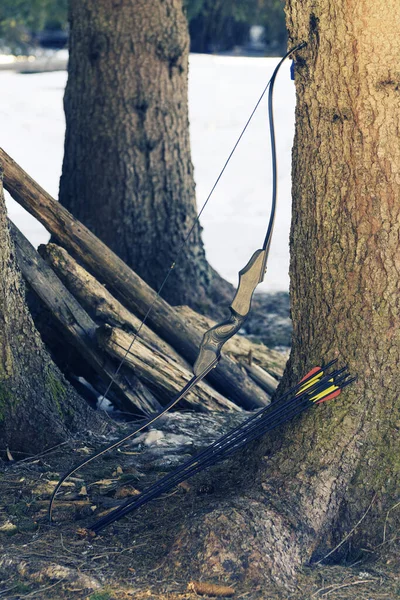 Tekrar Okçuluk Oku Ladin Ağacına Dayanan Siyah Oklar Avcılık Rekabet — Stok fotoğraf