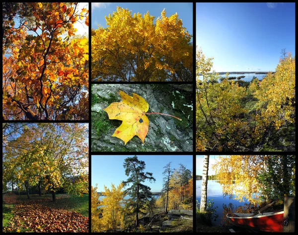 Herbstliche Bildercollage — Stockfoto