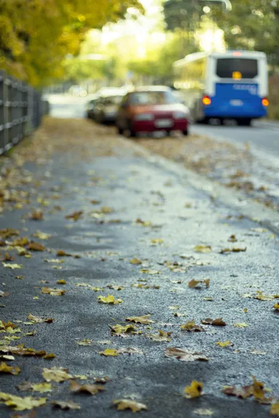 Осенняя улица — стоковое фото