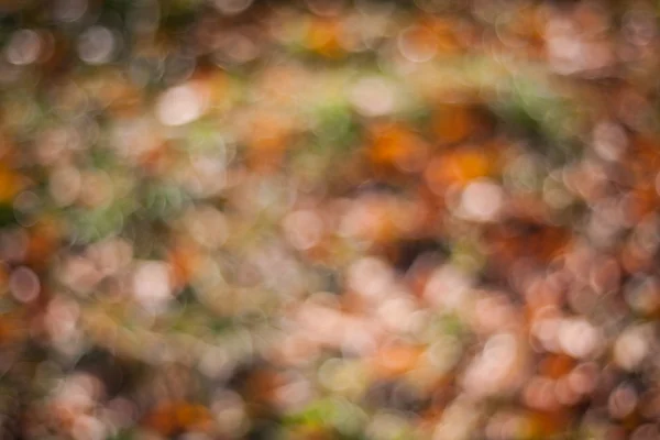 Natuur herfst bokeh — Stockfoto