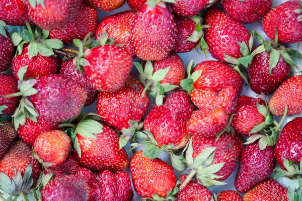 Fresh ripe strawberry background — Stock Photo, Image