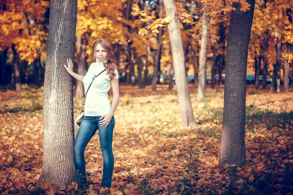 秋の公園の美少女 — ストック写真