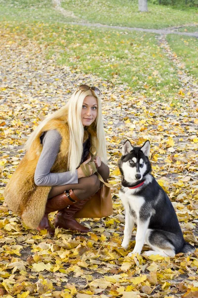 Hermosa chica con perro —  Fotos de Stock