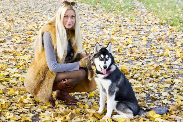 Güzel bir kız ile köpek — Stok fotoğraf