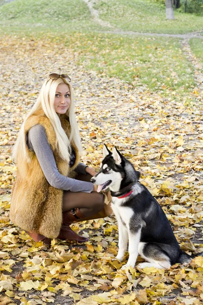 Hermosa chica con perro —  Fotos de Stock