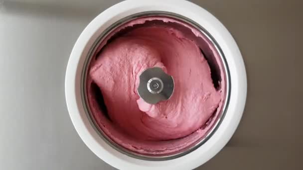 Homemade Raspberry Ice Cream Churning Small Professional Ice Cream Machine — Stock Video