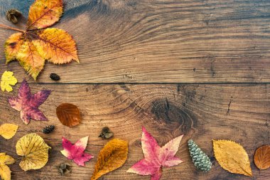 Sonbahar arkaplanı, koyu meşe ağacının üzerinde sonbahar yaprakları ve bir kupa koyu kahve. Üst Manzara. Düz Yatay.