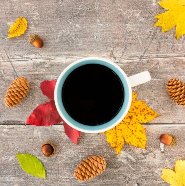 Top view of colourful autumn leaves, fall leaves, acorns, pinecones and a mug with black coffee on rustic, weathered, brown wood with copy space.