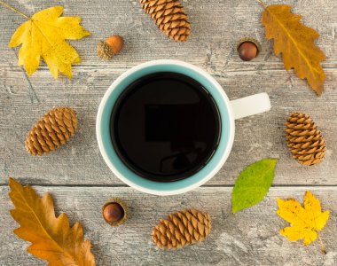 Siyah kahve, dökülen yapraklar, kozalaklar ve yıpranmış ahşap arka planda meşe palamudu dolu bir kupanın üst görüntüsü.. 