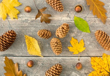 Sonbahar arkaplanı, sarı ve kahverengi sonbahar yaprakları, çam kozalakları ve kır palamutları, yıpranmış ahşap panel arka planı. Üst Manzara. Düz Yatay.