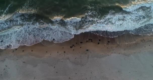 Aerial View Flying Latvian Baltic Sea Seaside Beach Coast Liepaja — Video Stock