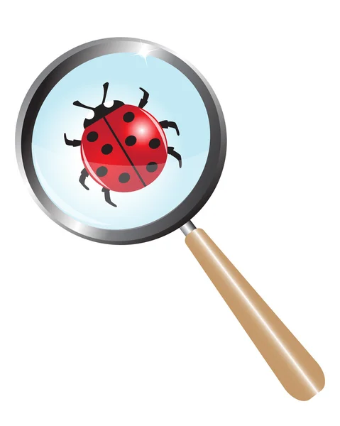 Ladybug under a magnifying glass — Stock Vector