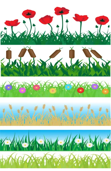 Set naadloze gras en bloemen — Stockvector