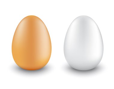iki tavuk yumurta gerçekçi farklı renk