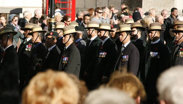 Remembrance Day Parade — Stock Photo, Image