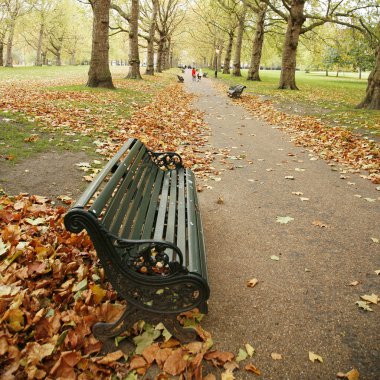 Londra sonbahar renkleri