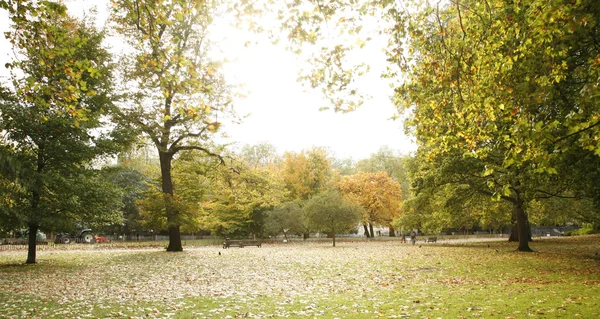 London Autumn Colors — Stock Photo, Image