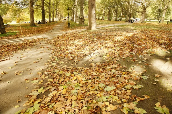 London Autumn Colors — Stock Photo, Image