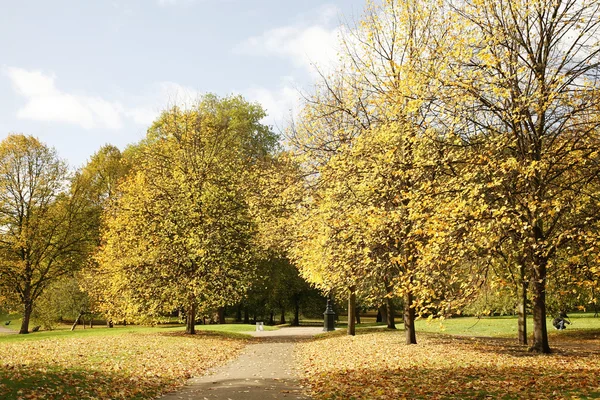 London Autumn Colors — Stock Photo, Image