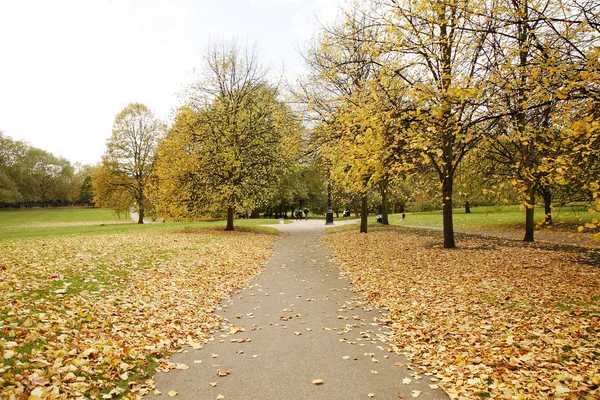 London Autumn Colors — Stock Photo, Image