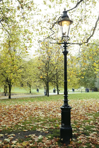 London Autumn Colors — Stock Photo, Image