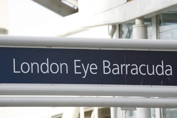 London eye, närbild, millennium wheel — Stockfoto