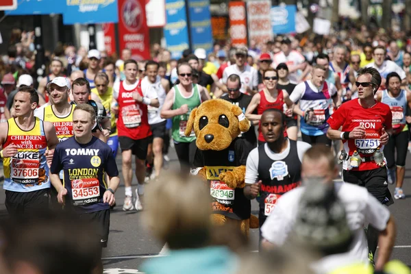 2013 Londyn maraton — Zdjęcie stockowe